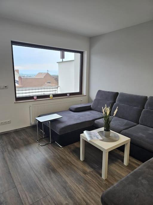 Gemuetliche Ferienwohnung Mülheim-Kärlich Extérieur photo